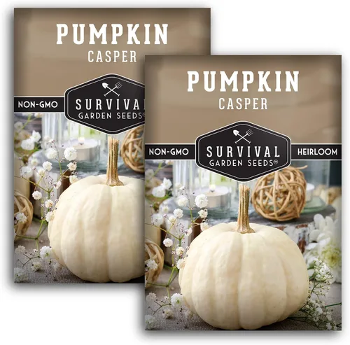 Miniatura 10 de Casper - Semillas de calabaza para plantar Calabazas blancas sin OMG con piel suave y carne dulce para decoración de otoño, tallado, horneado