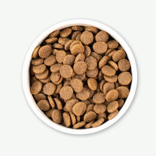 Miniatura 5 de Earthborn Holistic Great Plains Feast with Bisonte - Alimento seco natural para perros sin granos, 25 libras