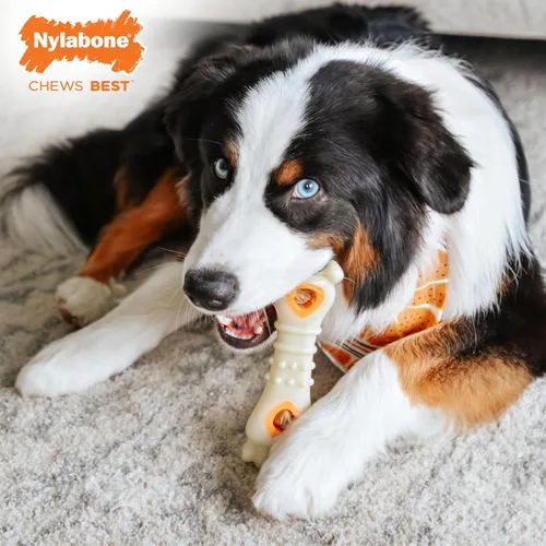Miniatura 3 de Nylabone Rellén de Juguetes con Golosinas Pop-in, Golosinas para Perros Completamente Naturales para Juguetes Dispensadores de Golosinas, Sabor