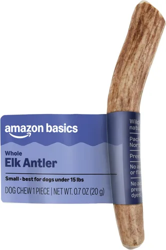 Marca Amazon – Cuerno de alce Wag – Entero – Larga duración para masticadores agresivos – Pequeño 4-5.5 pulgadas (mejor para perros de menos de 15