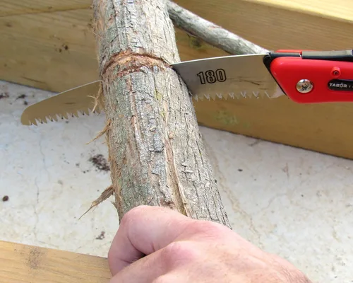Miniatura 5 de TABOR TOOLS Sierra plegable con hoja curvada de 8 pulgadas y mango de agarre resistente, sierra de mano para podar árboles, recortar ramas, acampar