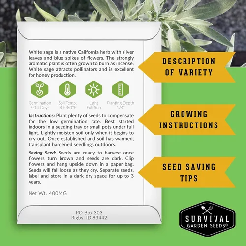 Miniatura 2 de Survival Garden Seeds - Semillas de salvia blanca para plantar - Cultiva hierbas para manchar sostenibles - 2 paquetes con instrucciones