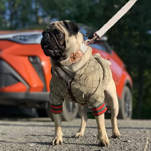 Miniatura 2 de Sudadera con capucha para perro, chaqueta de invierno de lujo para perros pequeños, ropa clásica de diseñador, bulldog francés, teddy, pug, ropa