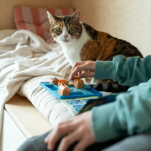 Miniatura 6 de SmartGames Cats & Boxes - Juego de rompecabezas lógico con 60 desafíos para mayores de 7 años