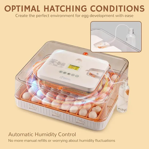 Miniatura 4 de iPettie Nestasy ProHatch56 - Incubadora de huevos con giro automático de huevos y control de temperatura y humedad, capacidad para 56 huevos