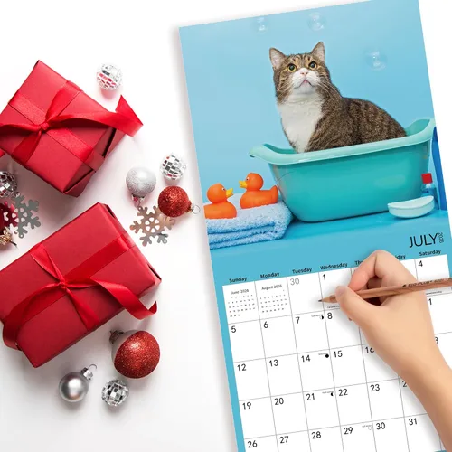 Miniatura 3 de Calendario de pared 2026, calendario de gatos 2026, calendario mensual de pared de baño de gatos, 12 x 24 pulgadas abierto, planificador familiar