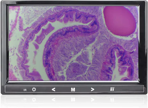 Miniatura 4 de 7" pantalla LCD de 5MP para tamaño de montaje del microscopio trinocular 76.1 ft m