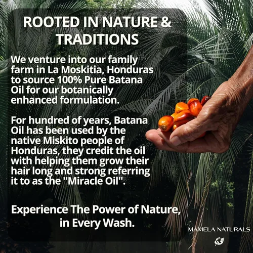 Miniatura 6 de Batana Oil for Hair Growth Shampoo con romero – Champú de aceite de batana sin sulfatos ni parabenos – Champú nutritivo y rejuvenecedor