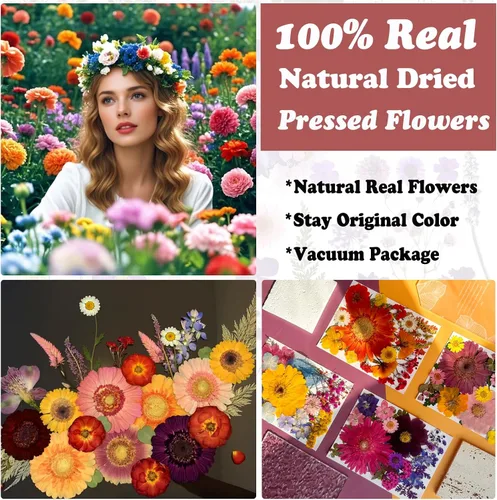 Miniatura 2 de 90 piezas de flores secas prensadas grandes para moldes de resina, flores naturales reales surtidas, pétalos de hojas para manualidades, joyas