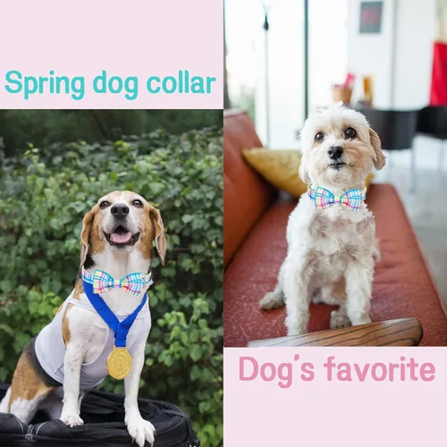 Miniatura 5 de Unique style paws Collar de perro para el día de Pascua con pajarita, collar de cachorro de cuadrícula azul y rosa para niños pequeños, medianos