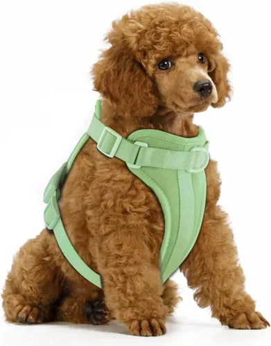 Miniatura 16 de Arnés ligero para perro sin tirones: arnés ajustable y duradero de malla transpirable con cojín suave y cómodo, para perros pequeños, medianos y Lila
