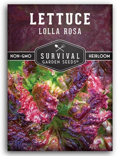 Lolla Rossa Semillas de lechuga para plantar, semillas de lechuga de hoja roja para cultivo de jardín, tolerantes al calor, variedad heredada sin