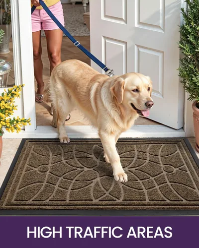 Miniatura 7 de DEXI - Felpudo para puerta exterior, alfombra de entrada de perfil bajo y resistente antideslizante para el recibidor, alfombras de bienvenida que