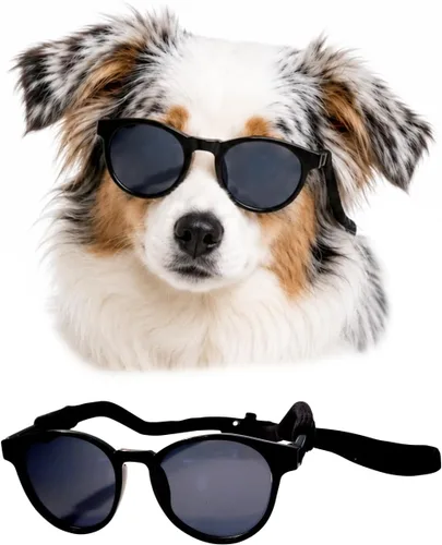 G006 Disfraz para perro y mascota, estilo retro de los años 80, lentes de sol ajustables para razas medianas de 20 a 40 libras, para fiesta, Panto
