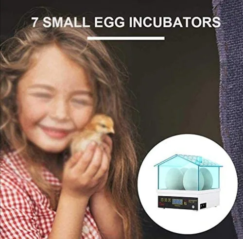 Miniatura 4 de Incubadora de huevos para incubar huevos, incubadoras de pollo, mini incubadoras digitales automáticas para incubar huevos, codornices patos