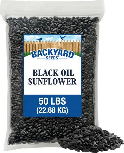 Miniatura 22 de CountryMax Backyard Seeds Semillas de Girasol de Aceite Negro (10 libras)
