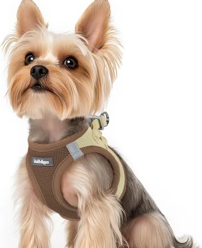 Miniatura 40 de rabbitgoo Arnés para perro pequeño, chaleco de malla suave para cachorros con hebilla de seguridad, arnés reflectante transpirable para mascotas