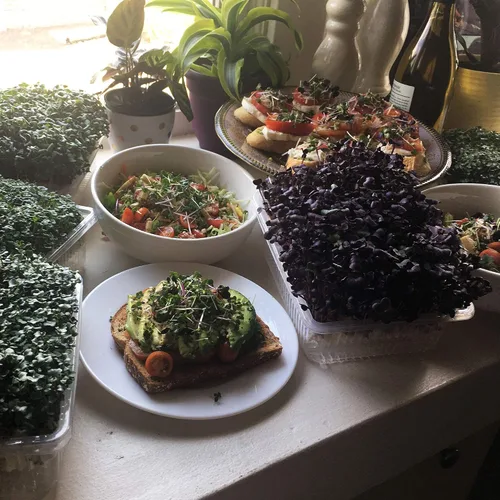Miniatura 5 de Kit de microverduras de interior con riego automático - Kit de cultivo de microverdes hidropónicos para semillas de vegetales y semillas de hierbas