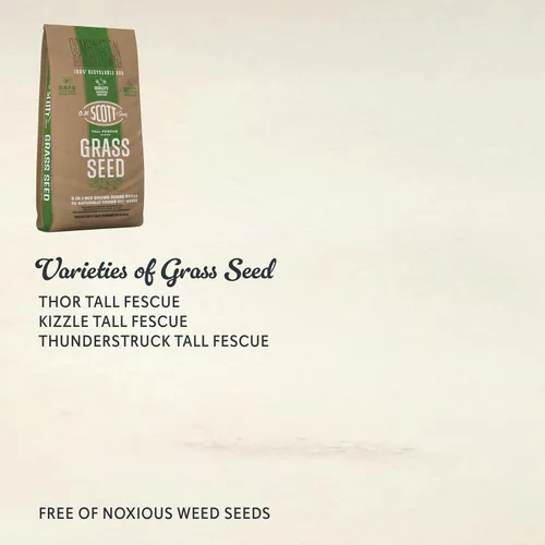 Miniatura 2 de O.M. Scott and Sons Tall Fescue Blend - Semillas de césped, fertilizantes y mejoradores del suelo, elimina naturalmente las malas hierbas, cubre