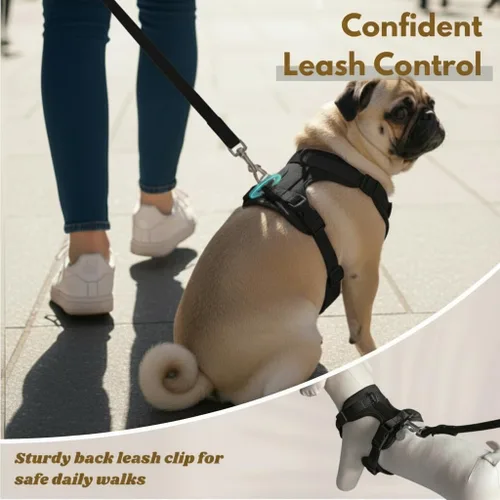 Miniatura 6 de Dog Harness - No Pull Adjustable Front Clip Vest with Soft Padding, 3Leash Clips, and No-Choke Oxford Design Comfort for Small, Medium, and Large
