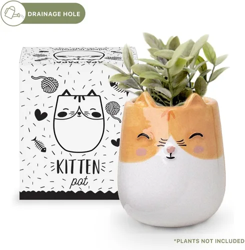 Miniatura 2 de maceta de cerámica con forma de gatito para interiores y exteriores, 3 x 3 x 4 pulgadas, diseño lindo pintado a mano en Argentina, con conveniente