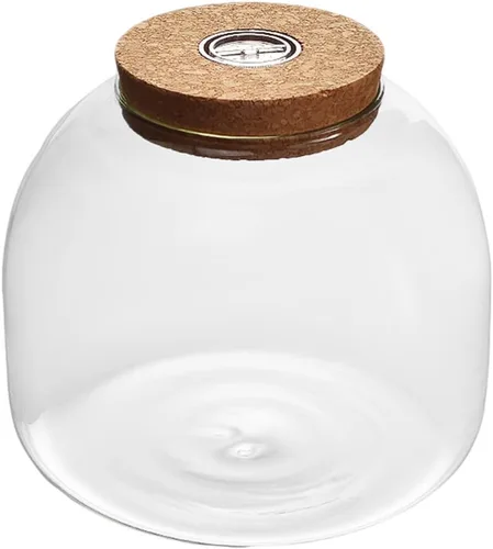 PATKAW Tarro de terrario de vidrio para plantas suculentas, terrario, botella ecológica con tapa de corcho para suculenta helecho, musgo, plantas de