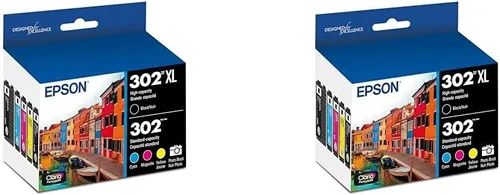 Epson 302 Claria Premium Ink - Cartucho de color negro y estándar de alta capacidad (T302XL-BCS) funciona con Expression XP-6000 XP-6100, (paquete