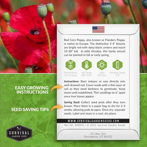 Miniatura 2 de Survival Garden Seeds Amapola de maíz rojo (Papaver Rhoas) 1 paquete con semillas de flores silvestres e instrucciones de plantación Cultiva