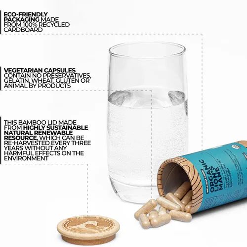 Miniatura 2 de Wellnest.Store Suplemento orgánico de hongo de melena de león (extracto de hericio) 60 cápsulas vegetales – Suplemento de apoyo inmunológico; mejora