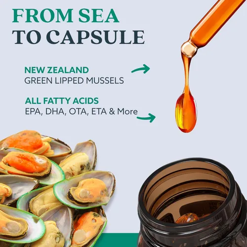 Miniatura 2 de GLX3 Cápsulas de aceite de mejillón de labios verdes extra fuertes – Suplemento cómodo para las articulaciones de larga duración – Apoyo