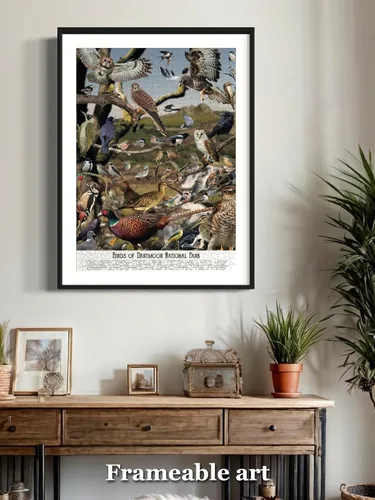 Miniatura 6 de Rompecabezas de pájaros para adultos, 1000 piezas, para observación de aves, naturaleza y vida silvestre