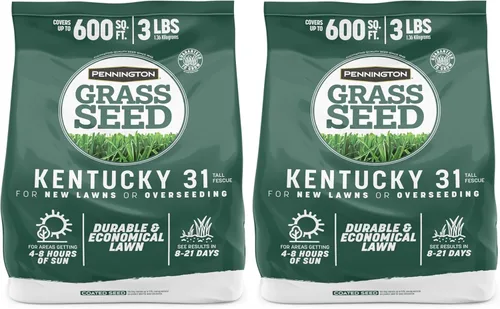 Miniatura 13 de Pennington Kentucky 31 Semilla de Césped Festuca Alta Penkoted 7 lb