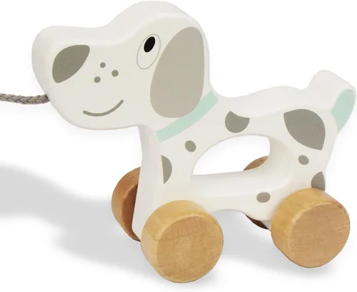 Juguetes de Bebé Coche, Juguetes de Bebé para Tirar para Niños Pequeños, Juguetes de Desarrollo para Niña o Niño de 1 Año de Regalo de Cumpleaños
