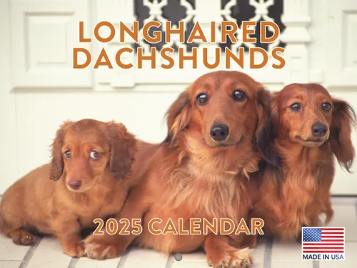 Miniatura 140 de Calendario de pared mensual 2025 Great Dane de 12 meses, fabricado en Estados Unidos