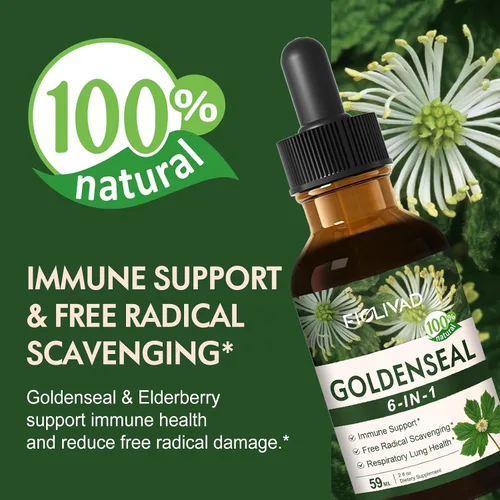 Miniatura 2 de Goldenseal Extracto de raíz líquida gota para apoyo inmunológico y respiratorio de la salud pulmonar, suplemento de fórmula herbaria 6 en 1