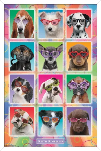 Miniatura 12 de Trends International Keith Kimberlin - Póster de pared con diseño de cachorros, gafas de sol, 14.725 x 22.375 pulgadas, versión enmarcada de madera