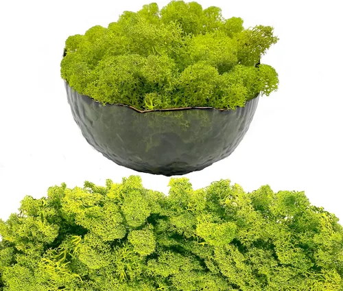 Miniatura 21 de Musgo artificial preservado de musgo para plantas en maceta, musgo verde fresco natural para manualidades, decoración de pared floral, centros