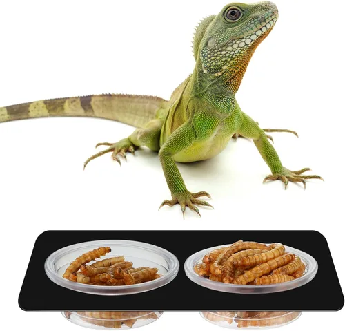 Miniatura 4 de EBOOT 500 vasos de plástico para alimentación, cuencos para agua de reptiles y alimentos para Gecko, lagartos, tarántula y otras mascotas pequeñas