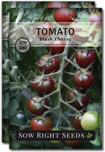 Miniatura 7 de Sow Right Seeds - Semillas de tomate cereza negra para plantar - Paquete de reliquia sin OMG con instrucciones para plantar un huerto casero