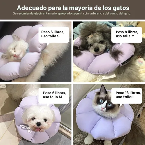 Miniatura 6 de Collar de cono de gato, lindo collar de recuperación impermeable para gatos, antimordeduras, cicatrización de heridas, collar isabelino para gatos