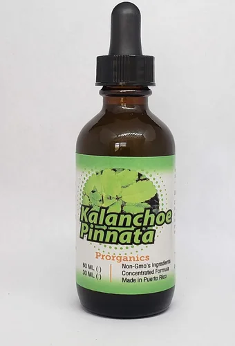 Kalanchoe Pinnata - Tintura de 2 onzas Prorganics
