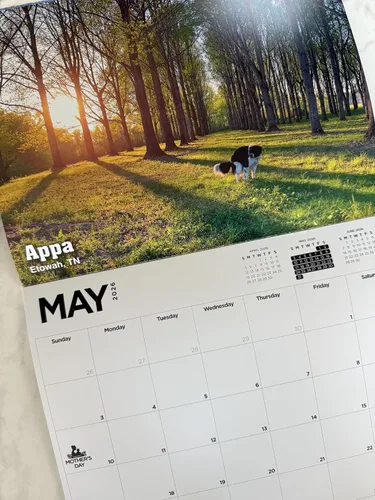 Miniatura 3 de Calendario de regalo de broma de elefante blanco Pooping Pooches