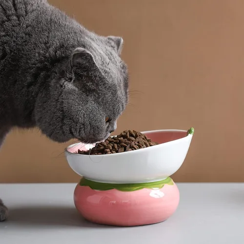 Miniatura 3 de Cuenco elevado de cerámica para gatos, cuenco elevado rosa para gatos de interior, antivómitos y protección de la columna vertebral, bonito plato