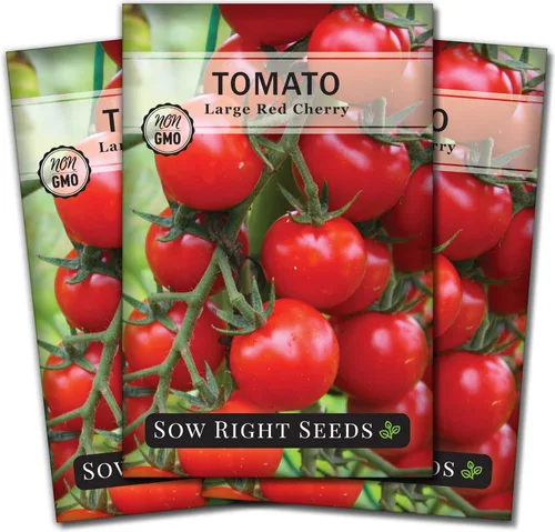 Sow Right Seeds - Semillas grandes de tomate cereza roja para plantar - Paquete de reliquia sin OMG con instrucciones para plantar un huerto casero