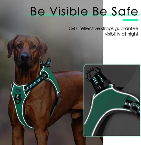 Miniatura 6 de ThinkPet Arnés sin tirones, a prueba de escape, chaleco reflectante para perro, ajustable, transpirable, arnés halter con clip trasero/frontal