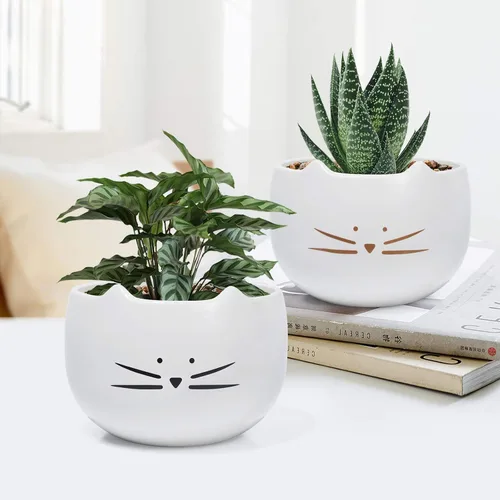 Miniatura 5 de Koolkatkoo Juego de 2 macetas para suculentas de 5.5 pulgadas, diseño de cactus, macetas blancas
