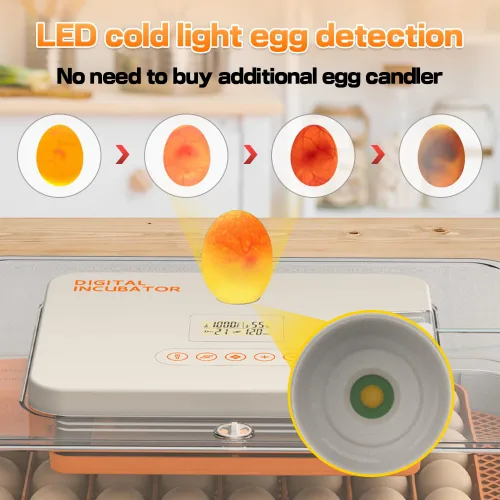 Miniatura 5 de HOWOOlUA - Incubadora de 56 huevos para incubar huevos con giro automático, control de temperatura y humedad, incubadora integrada de huevos de gran