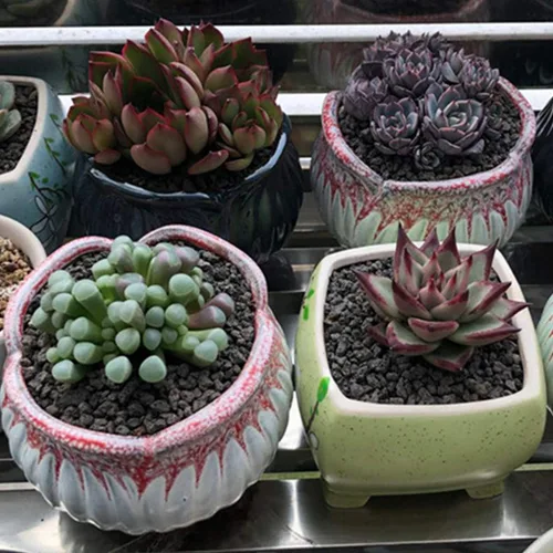 Miniatura 7 de TOYPOPOR Aditivo de suelo de roca de lava hortícola negra para cactus y plantas suculentas sin tintes ni productos químicos, 100% pura roca
