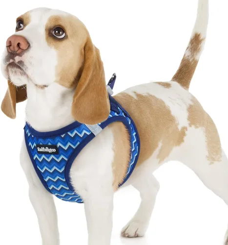 Miniatura 100 de rabbitgoo Arnés para perro pequeño, chaleco de malla suave para cachorros con hebilla de seguridad, arnés reflectante transpirable para mascotas