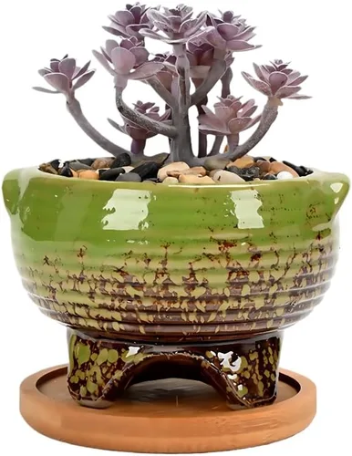 Miniatura 34 de Bonita maceta circular de cerámica para decoración del hogar y jardín, suculentas, cactus, maceta no incluida (azul, 3.19 pulgadas)